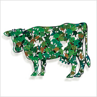 Cow:Green